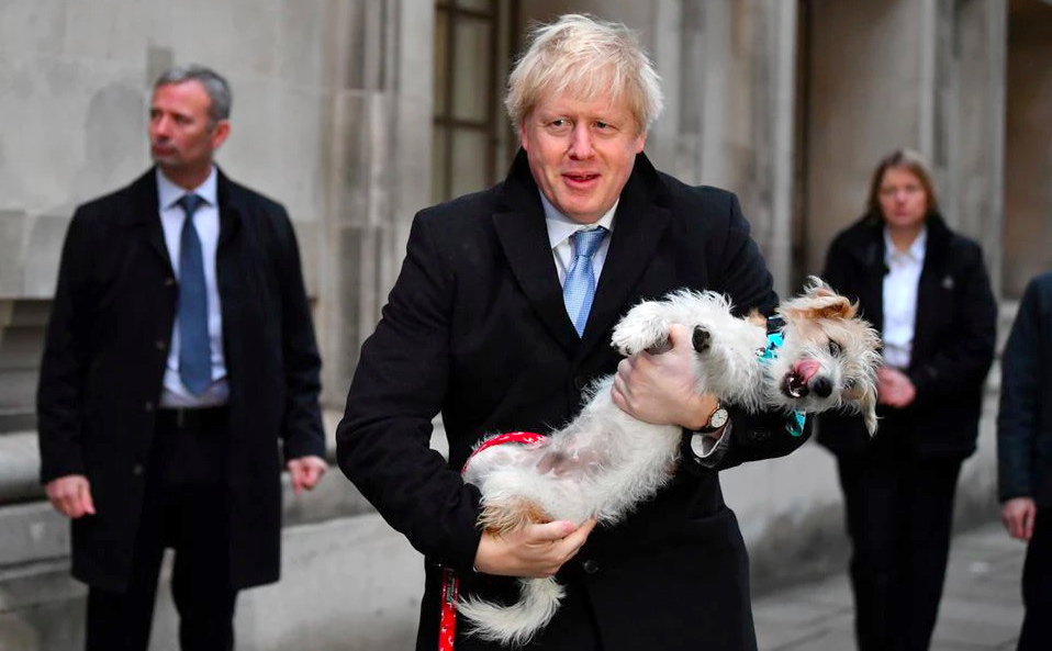 Pressure on UK PM Boris Johnson mounts over evacuation of dogs and cats from Afghanistan