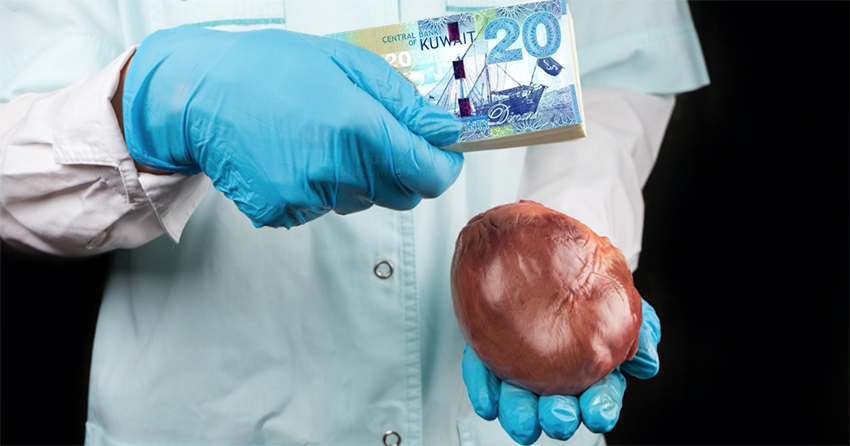 Kidney sold for KD 20,000 in Kuwait – Call for urgent action to curtail organ trade