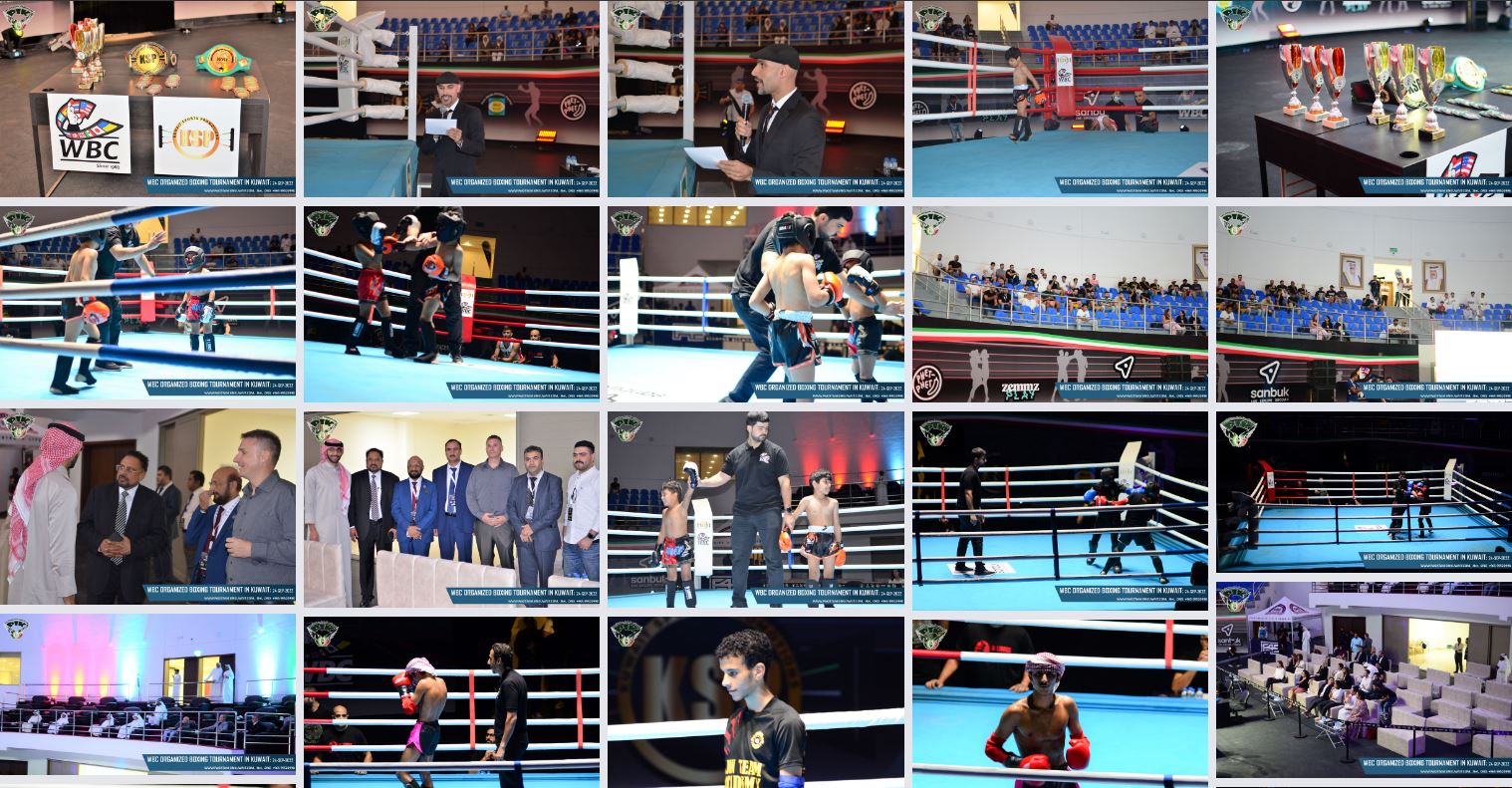 http://pakistanisinkuwait.com/images/wbs-boxing.jpg